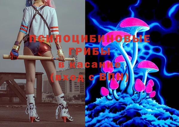 тгк Липки
