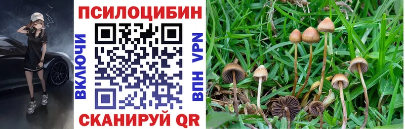 Галлюциногенные грибы прущие грибы Петропавловск-Камчатский