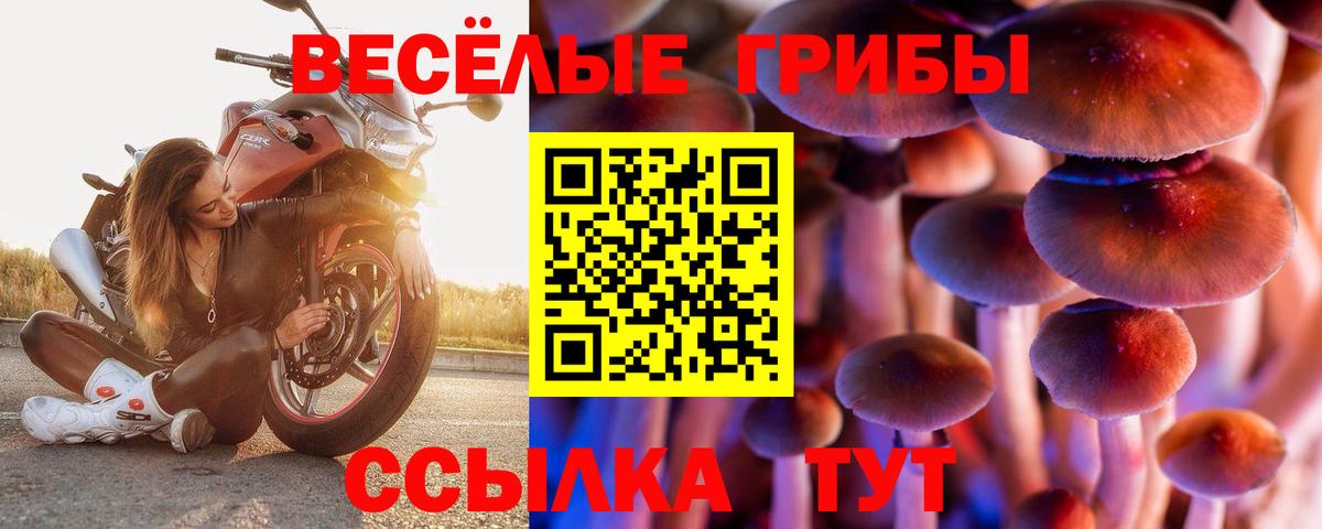 Петропавловск-Камчатский  Псилоцибиновые грибы GOLDEN TEACHER  Вход с VPN 