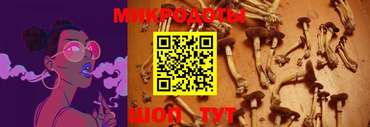 Псилоцибиновые грибы MAGIC MUSHROOMS Петропавловск-Камчатский